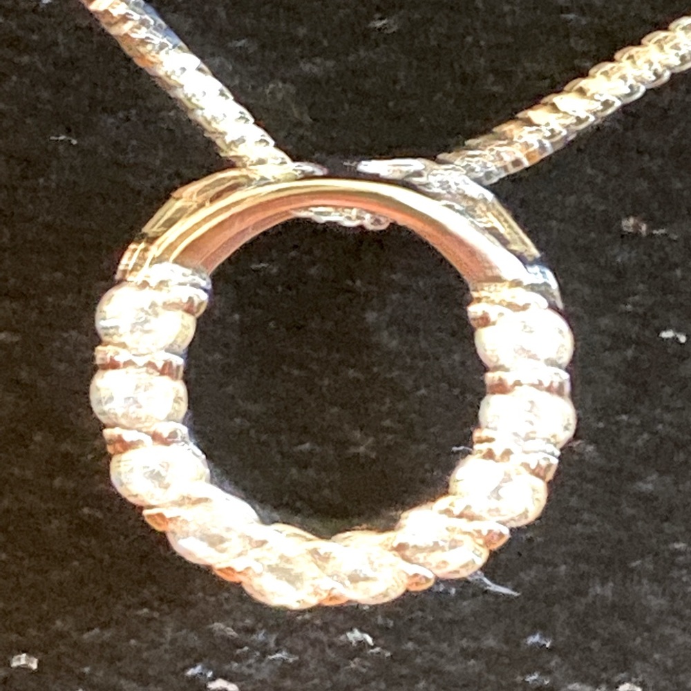 Small Circle of Life Pendant